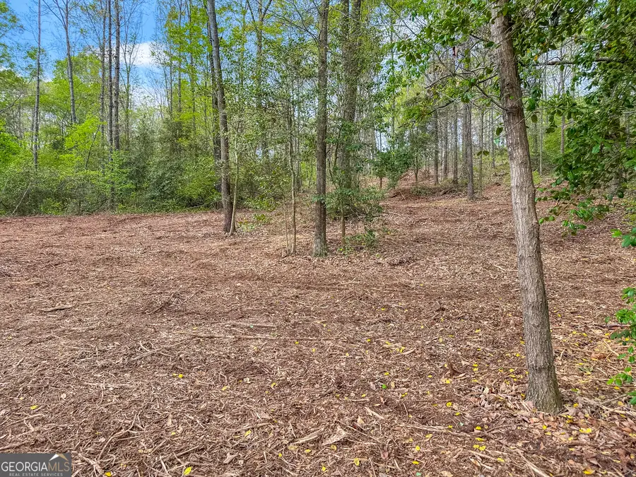 101 Broad River Rd Road #LOT 7, Eastanollee, GA 30538 - #3