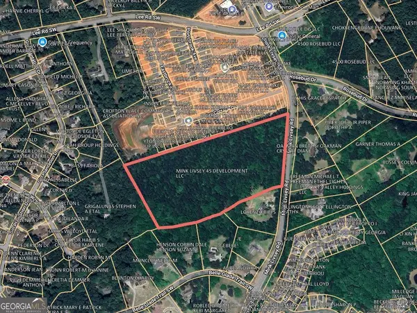 0 Mink Livsey Road, Snellville, GA 30039