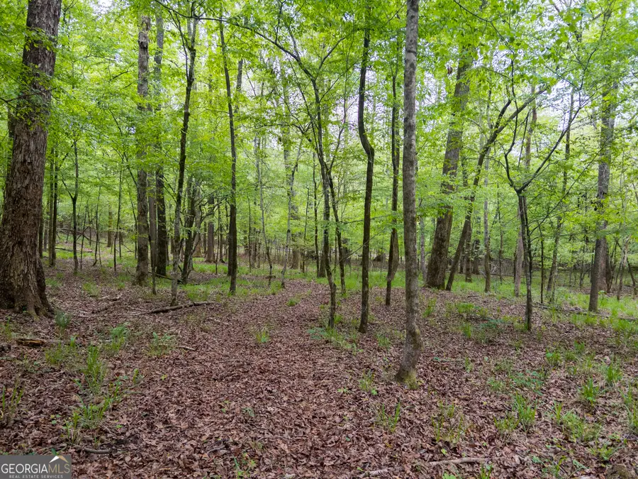 V/L Georgia Kaolin Road, Dry Branch, GA 31020 - #2