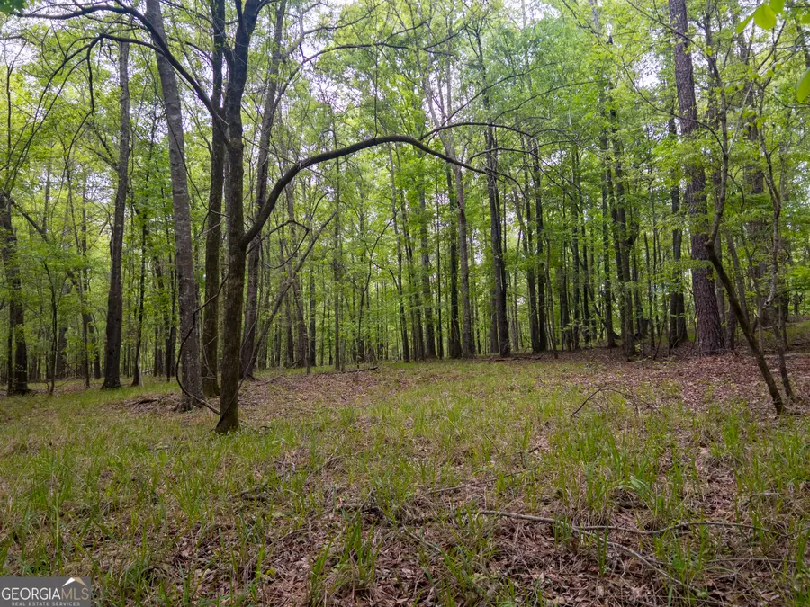 V/L Georgia Kaolin Road, Dry Branch, GA 31020 - #3