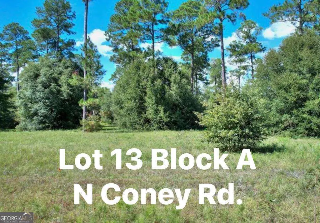 TBD N Coney Rd Lot 13 Block A, Cordele, GA 31015 - #1