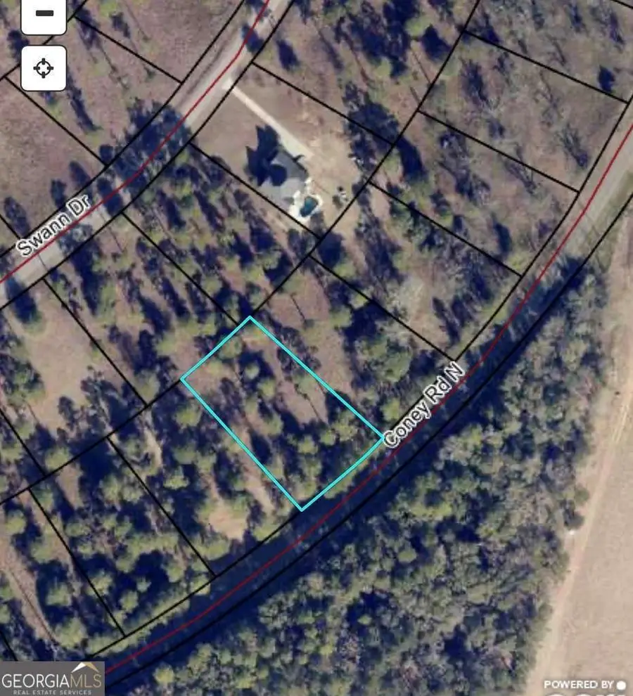 TBD N Coney Rd Lot 13 Block A, Cordele, GA 31015 - #2