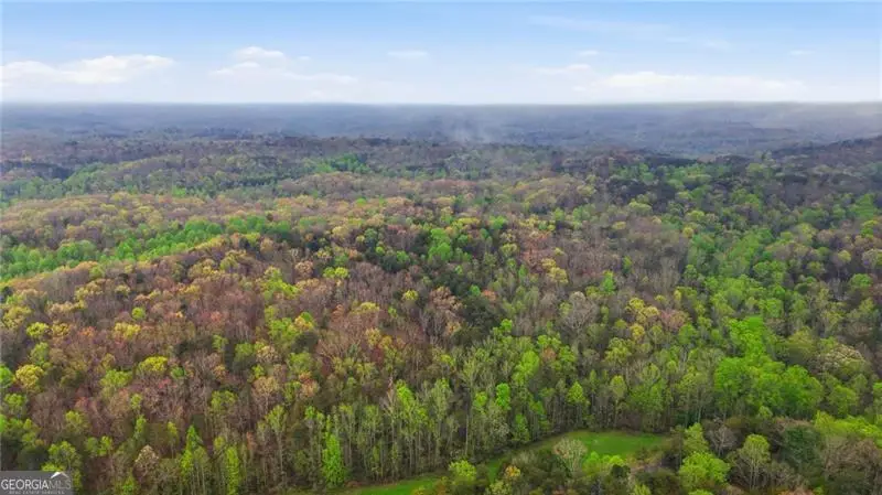 00 Fern Valley Road, Dawsonville, GA 30534 - #3