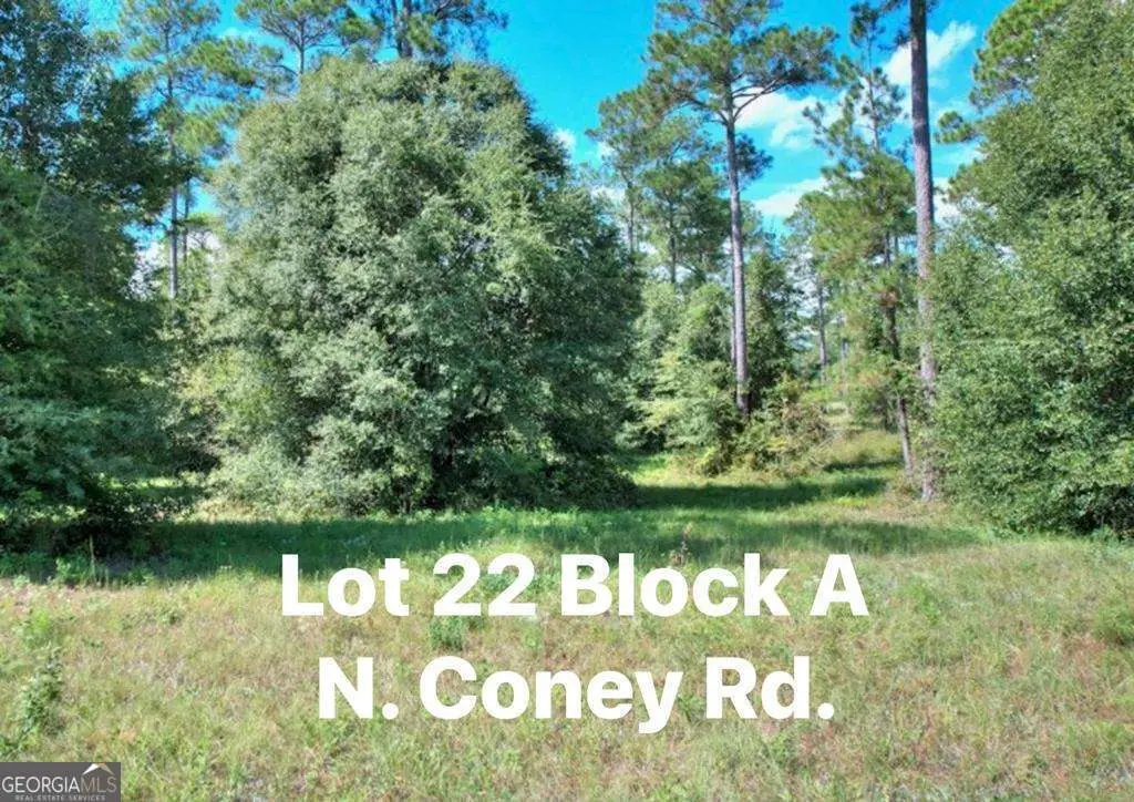 0 N Coney Rd Lot 22 Block A, Cordele, GA 31015 - #1