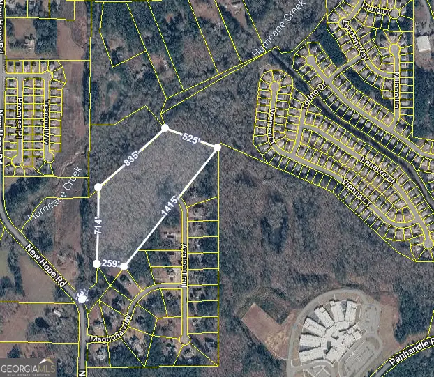 11300 Azalea Trail, Hampton, GA 30228 - #1