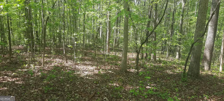 11300 Azalea Trail, Hampton, GA 30228 - #3