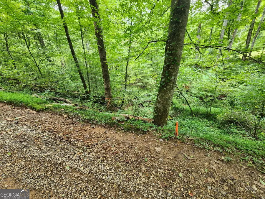 TRACT 2A Poplar Cove Trail, Suches, GA 30572 - #2
