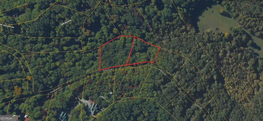 0 Picklesimer Mtn Trail, Morganton, GA 30560 - #3