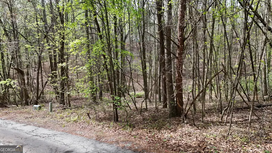 0 Shenandoah Drive, Cleveland, GA 30528 - #2