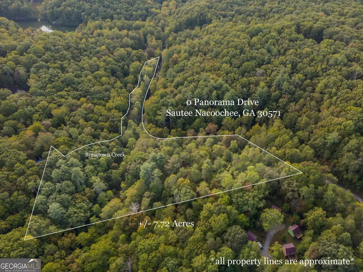 0 Panorama Drive, Sautee Nacoochee, GA 30571 - #1