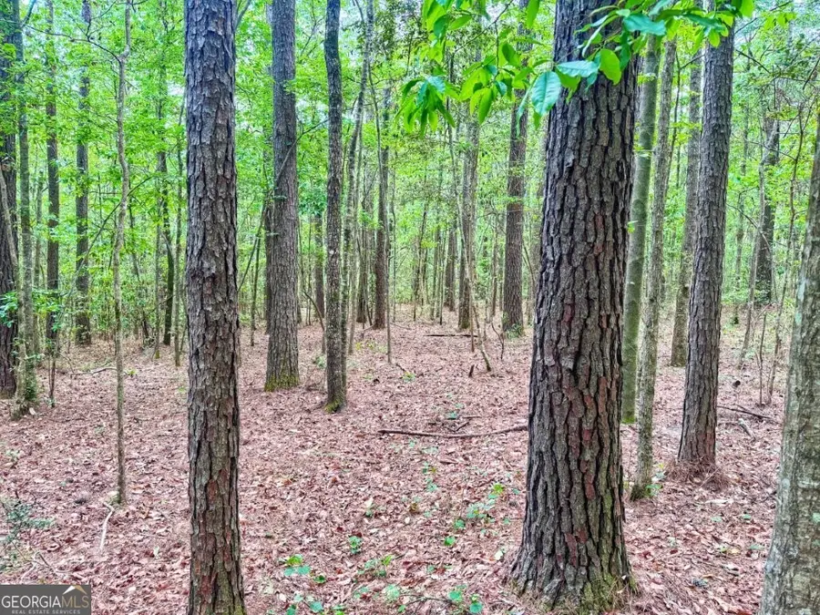 0 Jackson Landing Road, Picayune, MS 39466 - #2
