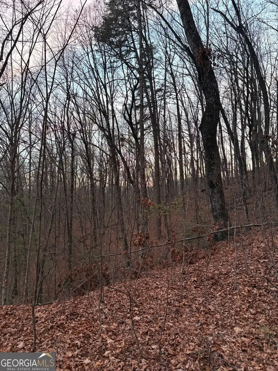 0 Highway 197, Clayton, GA 30525 - #3