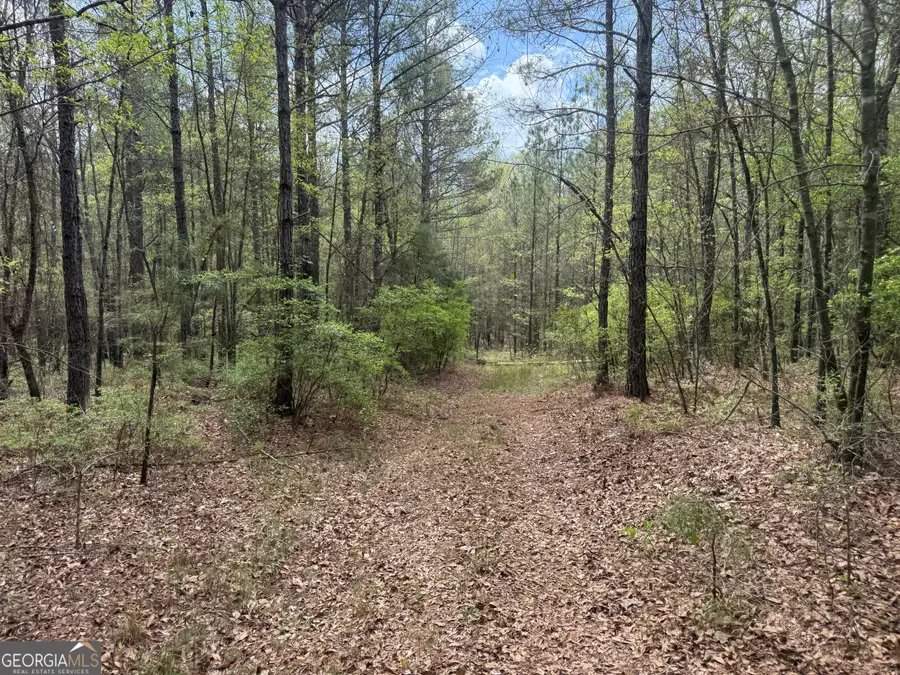 0 Walton Road, Fort Valley, GA 31030 - #2