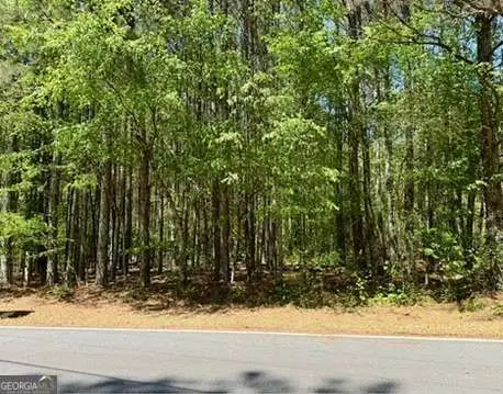 0 Haw Creek Drive, Cumming, GA 30041 - #3