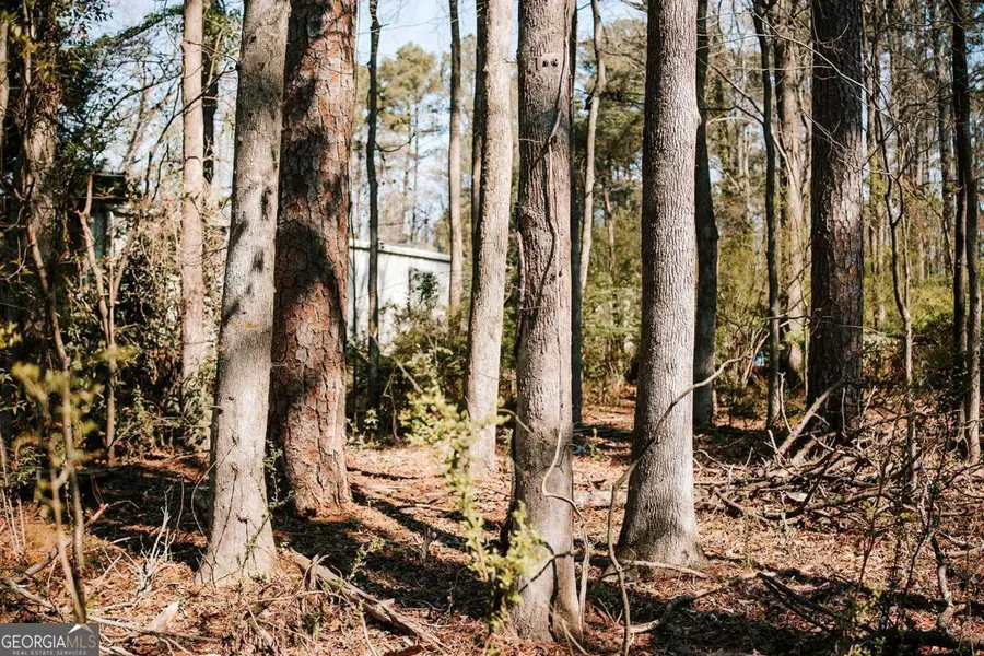 1283 Cedar Shoals Drive, Athens, GA 30606 - #3