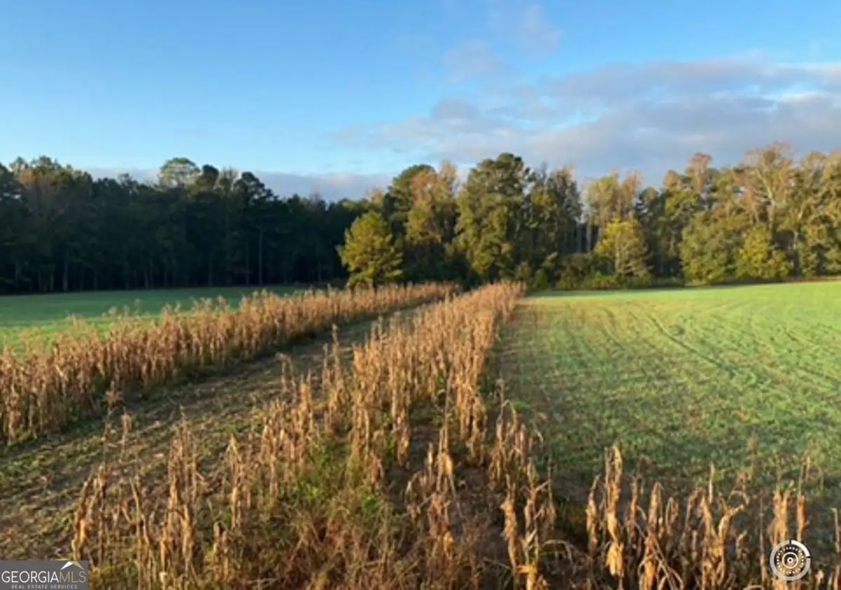 55 +/- AC Mt Carmel, Senoia, GA 30276 - #1