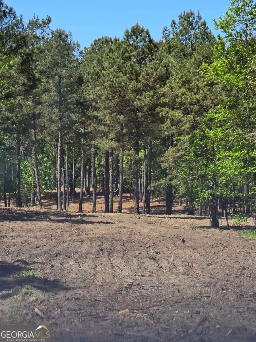 55 +/- AC Mt Carmel, Senoia, GA 30276 - #2