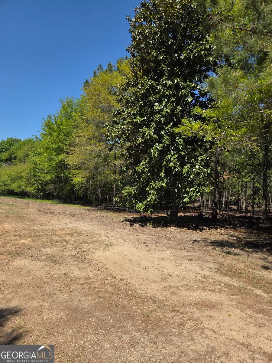 55 +/- AC Mt Carmel, Senoia, GA 30276 - #3