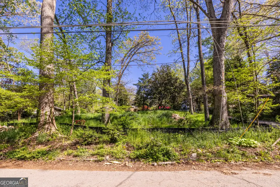 4064 Park Drive, Pine Lake, GA 30072 - #2