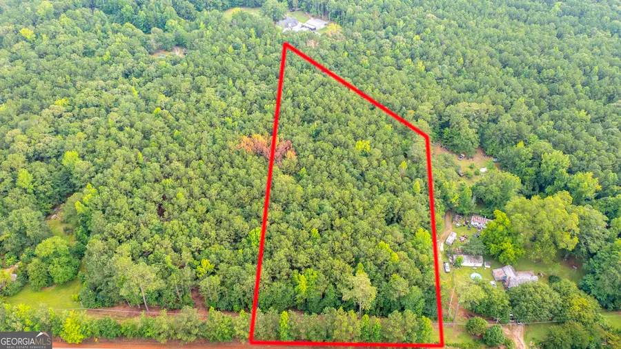 0 Durand Highway, Warm Springs, GA 31830 - #3