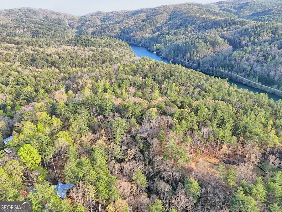 604 Tame Turkey Road, Lakemont, GA 30552 - #3