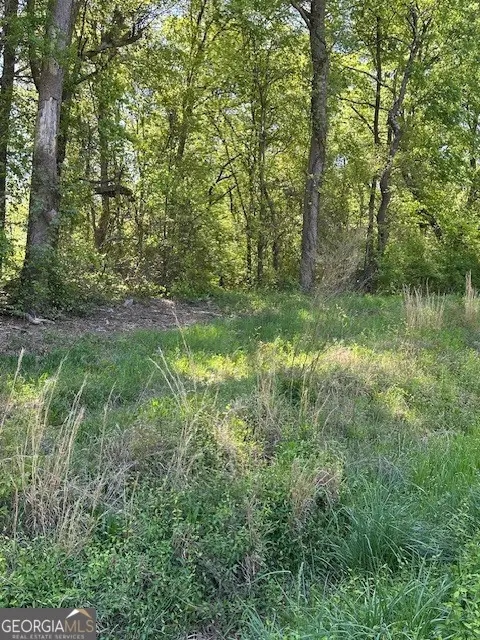 815 Aj Irvin, Talmo, GA 30575