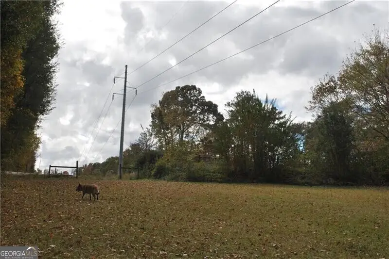 4271 Panthersville Road, Ellenwood, GA 30294 - #2