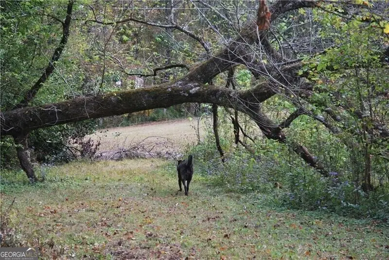 4271 Panthersville Road, Ellenwood, GA 30294 - #3