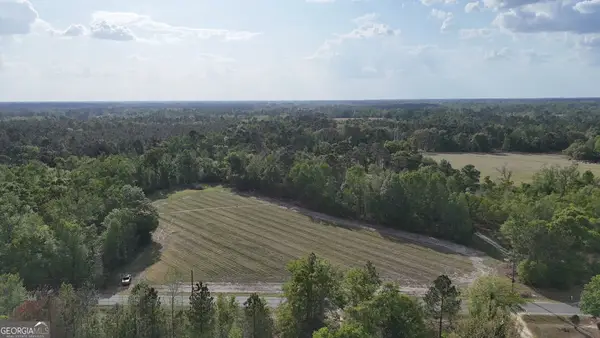 TRACT 2 Spring Branch Road, Baxley, GA 31513