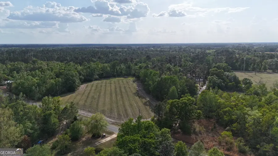 TRACT 3 Spring Branch Road, Baxley, GA 31513 - #3