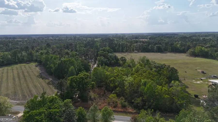 TRACT 4 Spring Branch Road, Baxley, GA 31513 - #2