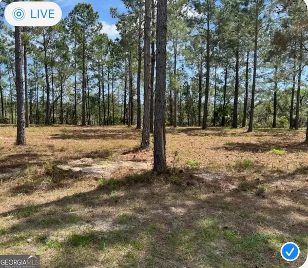 135 Beacon Pointe Parkway, WOODBINE, GA 31569