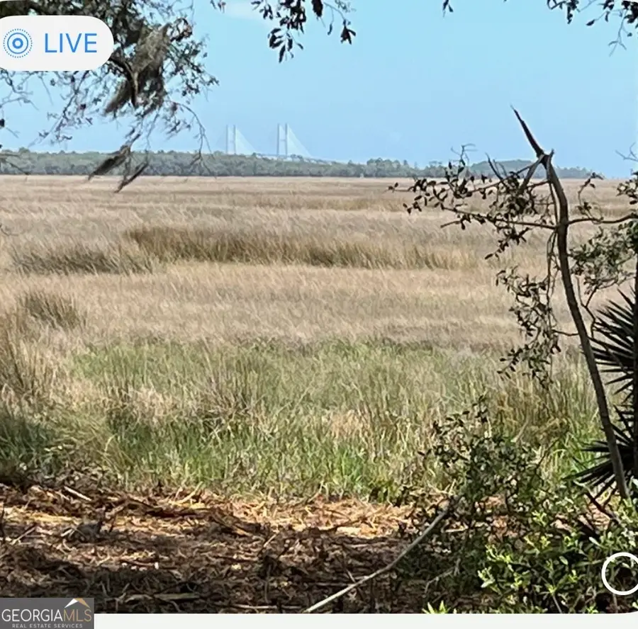 135 Beacon Pointe Parkway, Woodbine, GA 31569 - #2