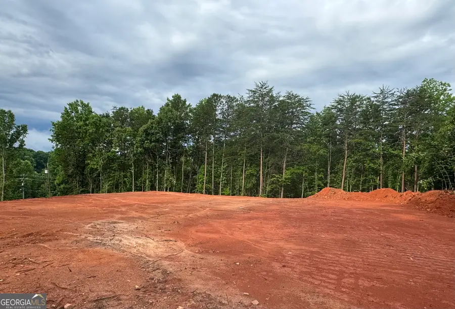 25 Caudell Drive, Cleveland, GA 30528 - #3