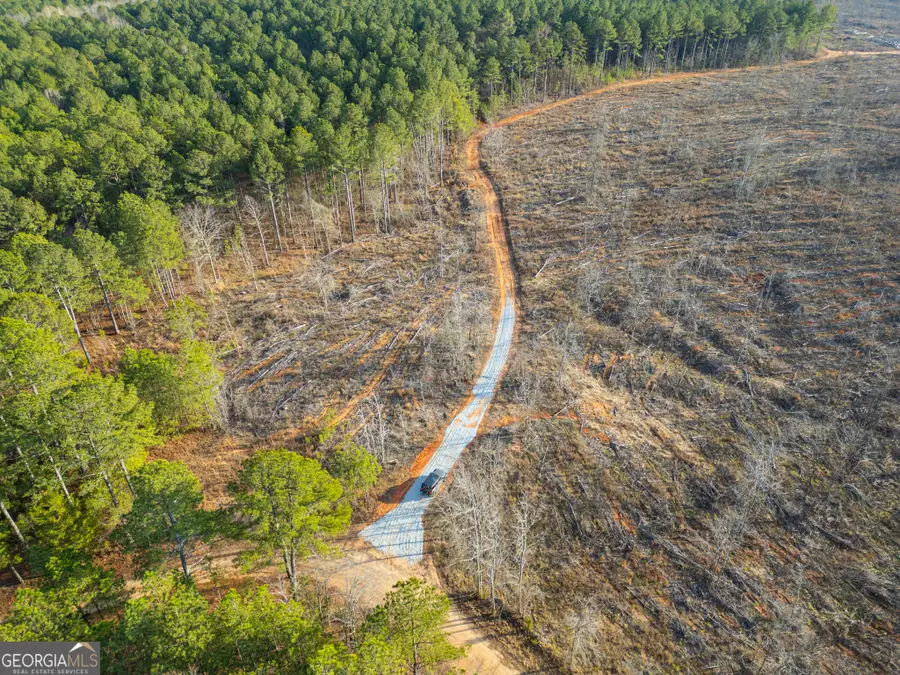 1 Smith Rocky Branch Road, Carlton, GA 30627 - #3