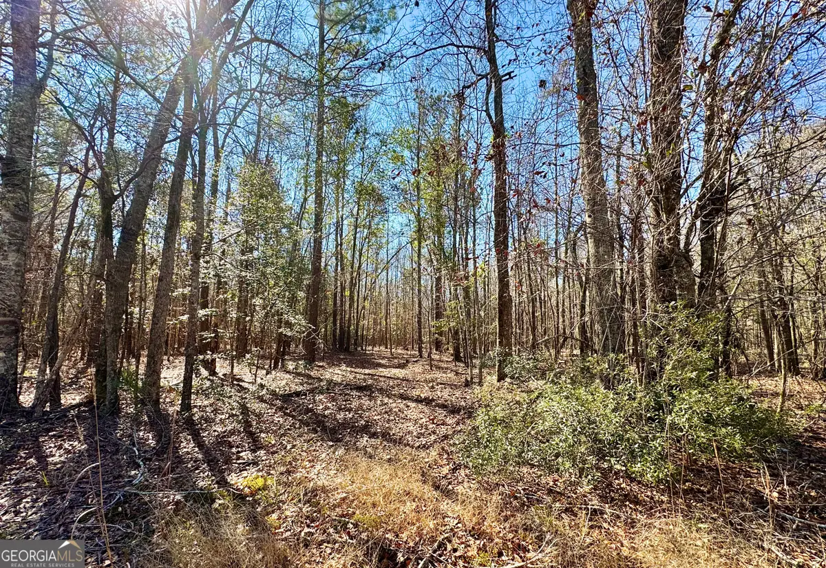 0 Cross Cedar Road, Wrightsville, GA 31096 - #1