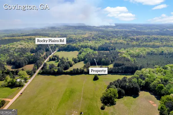 1025 Rocky Plains Road, Covington, GA 30016