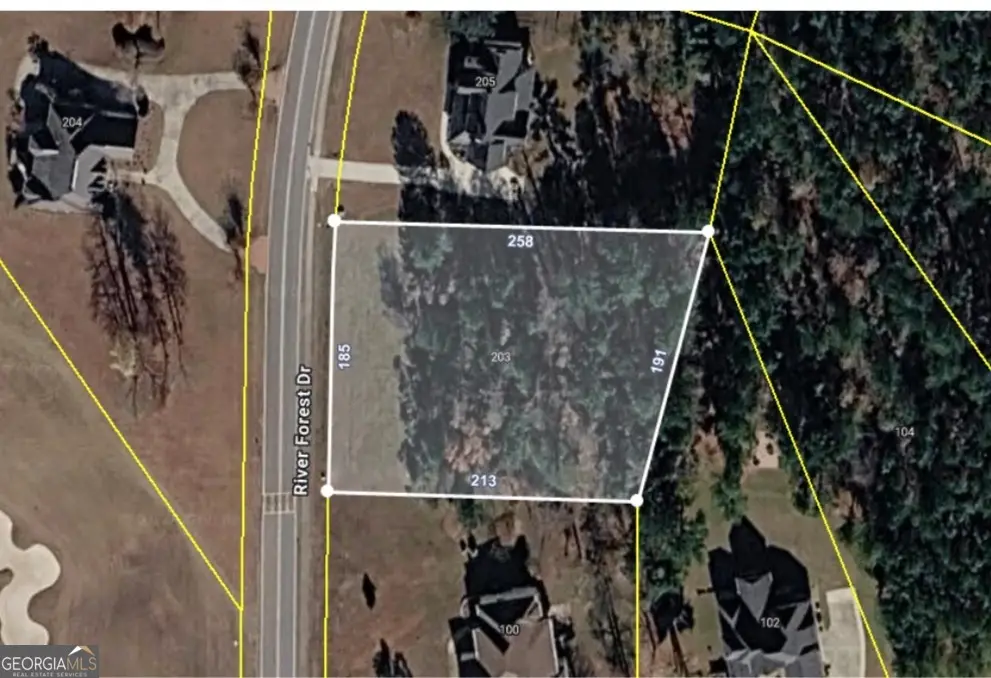 203 River Forest Drive, Forsyth, GA 31029 - #1