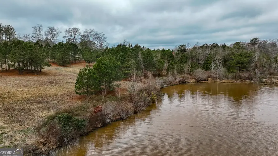 NONE Wolf Creek Drive, Americus, GA 31709 - #3