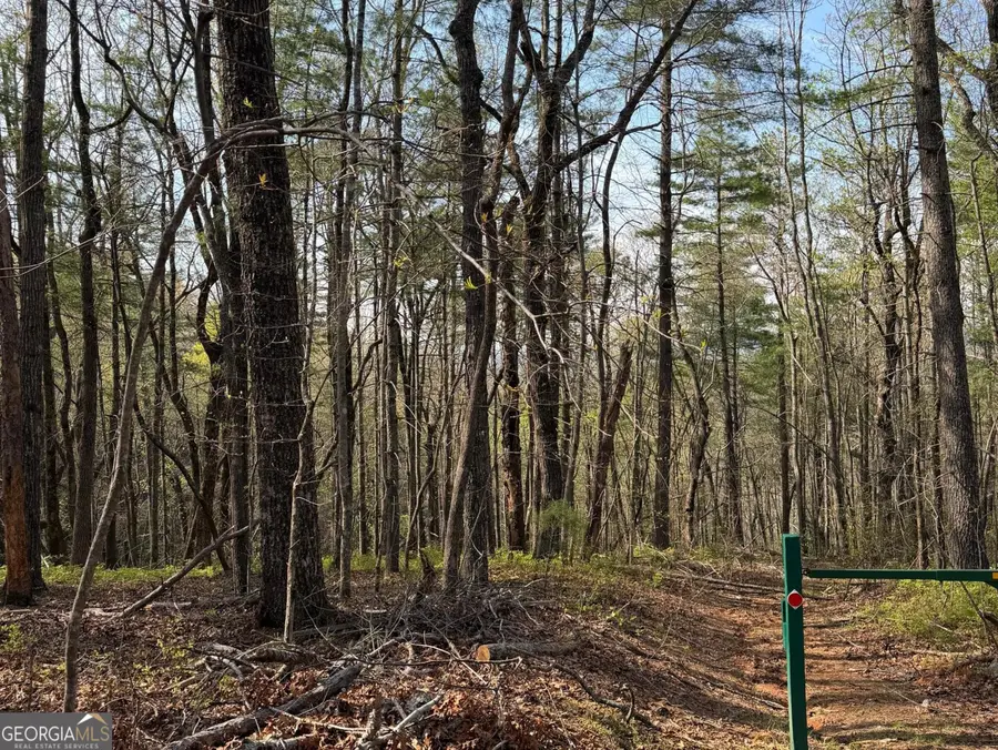 552 Long Laurel Ridge 6.65 Acres #LOT 2, Lakemont, GA 30552 - #2