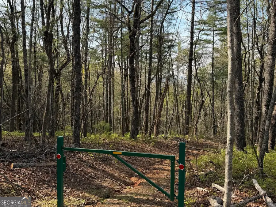 552 Long Laurel Ridge 6.65 Acres #LOT 2, Lakemont, GA 30552 - #3