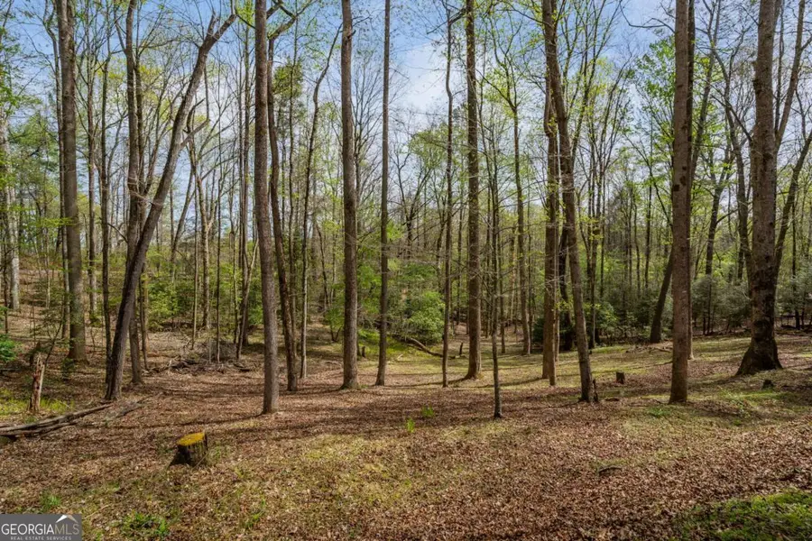159 Pack Creek Road, Blue Ridge, GA 30513 - #3