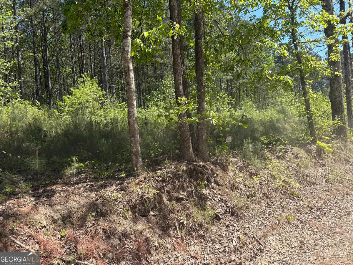 7500 Tyree Road, Winston, GA 30187 - #1