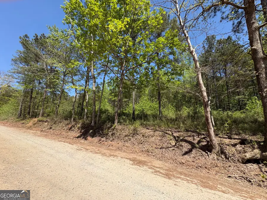 7500 Tyree Road, Winston, GA 30187 - #3