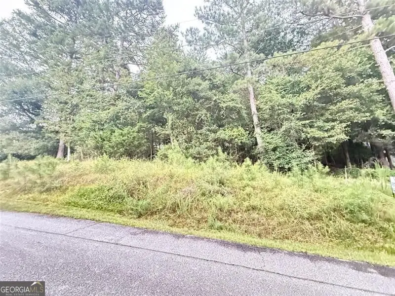 2569 Pinewood Drive, Conyers, GA 30012 - #3