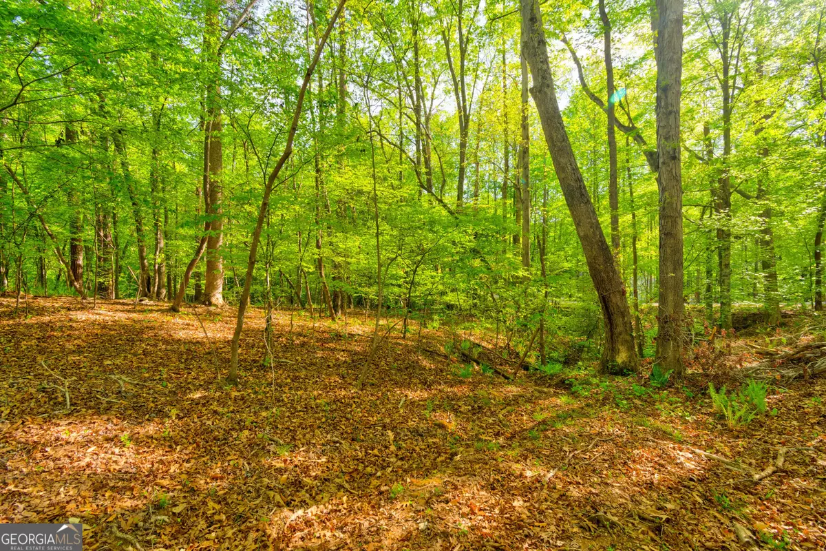 4033 Hidden Hollow Drive, Gainesville, GA 30506 - #1