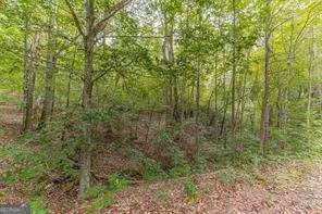 4033 Hidden Hollow Drive, Gainesville, GA 30506 - #3