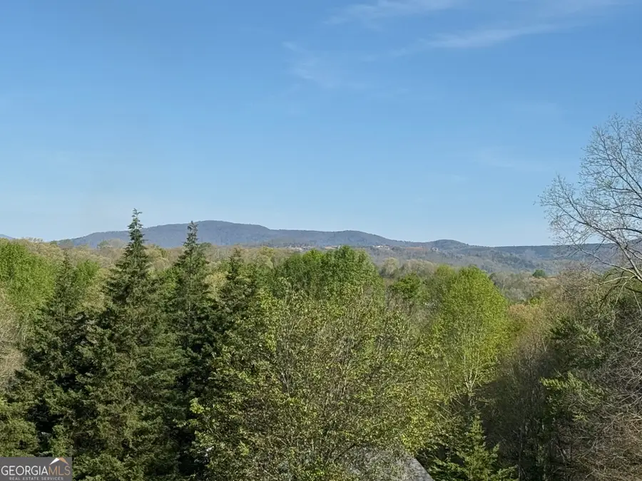 112 Rockford Farm Drive, Clarkesville, GA 30523 - #3