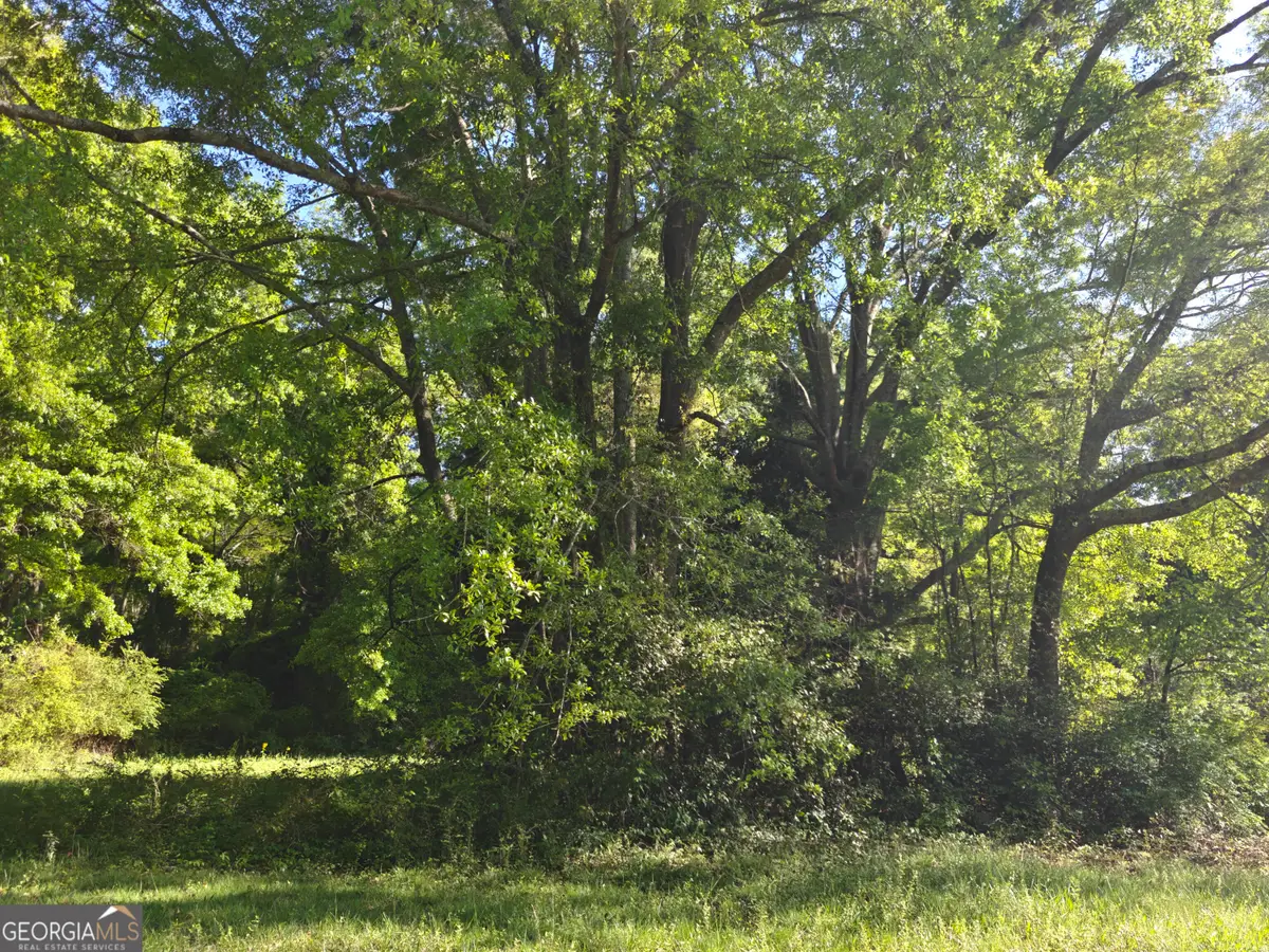 0 Crook Street, Senoia, GA 30276 - #1