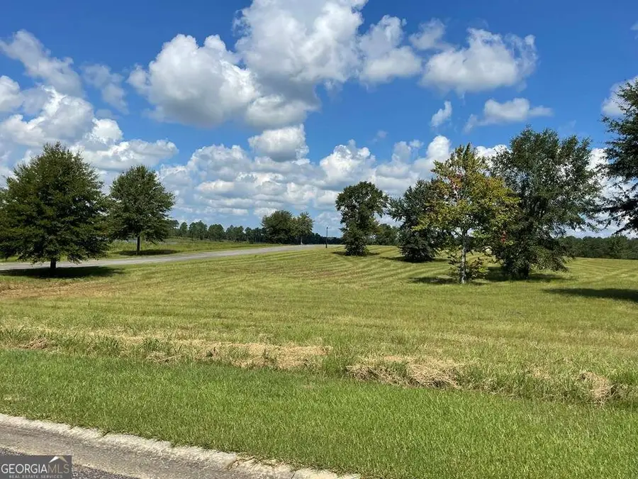 0 Thompson Level Road, Lyons, GA 30436 - #3